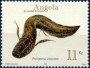 动物:非洲:安哥拉:ao200101.jpg