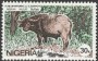 动物:非洲:尼日利亚:ng198403.jpg