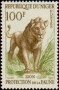 动物:非洲:尼日尔:ne196012.jpg