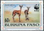 动物:非洲:布基纳法索:bf199303.jpg