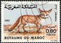 动物:非洲:摩洛哥:ma198301.jpg