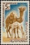 动物:非洲:毛里塔尼亚:mr196321.jpg
