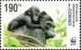 动物:非洲:民主刚果:cd200202.jpg