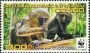 动物:非洲:民主刚果:cd201201.jpg