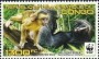 动物:非洲:民主刚果:cd201204.jpg