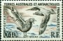 动物:非洲:法属南部和南极领地:taaf195902.jpg