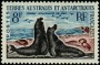 动物:非洲:法属南部和南极领地:taaf196201.jpg
