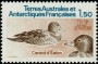 动物:非洲:法属南部和南极领地:taaf198301.jpg