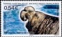 动物:非洲:法属南部和南极领地:taaf200804.jpg