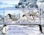 动物:非洲:法属南部和南极领地:taaf201201.jpg
