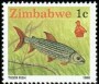 动物:非洲:津巴布韦:zw199001.jpg