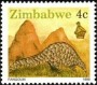 动物:非洲:津巴布韦:zw199004.jpg