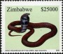 动物:非洲:津巴布韦:zw200504.jpg