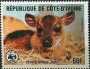 动物:非洲:科特迪瓦:ci198501.jpg