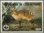 动物:非洲:科特迪瓦:ci198504.jpg