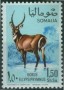 动物:非洲:索马里:so196801.jpg