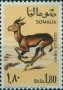 动物:非洲:索马里:so196802.jpg
