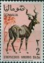 动物:非洲:索马里:so196803.jpg