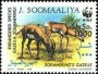 动物:非洲:索马里:so199204.jpg
