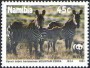 动物:非洲:纳米比亚:na199103.jpg