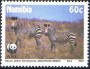 动物:非洲:纳米比亚:na199104.jpg
