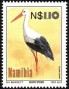 动物:非洲:纳米比亚:na199404.jpg