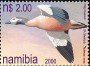 动物:非洲:纳米比亚:na200001.jpg