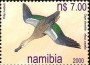 动物:非洲:纳米比亚:na200004.jpg
