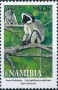 动物:非洲:纳米比亚:na200403.jpg