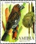 动物:非洲:纳米比亚:na200805.jpg
