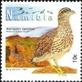 动物:非洲:纳米比亚:na201209.jpg