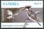 动物:非洲:纳米比亚:na201415.jpg