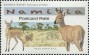 动物:非洲:纳米比亚:na201507.jpg