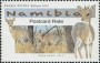 动物:非洲:纳米比亚:na201509.jpg