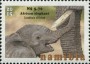 动物:非洲:纳米比亚:na201519.jpg