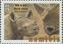 动物:非洲:纳米比亚:na201520.jpg