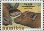 动物:非洲:纳米比亚:na201521.jpg
