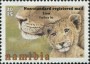 动物:非洲:纳米比亚:na201522.jpg