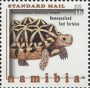 动物:非洲:纳米比亚:na201602.jpg