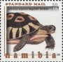 动物:非洲:纳米比亚:na201604.jpg