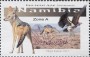 动物:非洲:纳米比亚:na201702.jpg