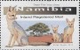 动物:非洲:纳米比亚:na201705.jpg