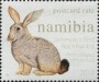 动物:非洲:纳米比亚:na201709.jpg