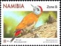 动物:非洲:纳米比亚:na202005.jpg