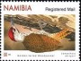 动物:非洲:纳米比亚:na202007.jpg