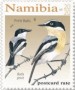 动物:非洲:纳米比亚:na202012.jpg