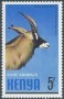 动物:非洲:肯尼亚:ke198103.jpg