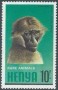动物:非洲:肯尼亚:ke198104.jpg