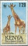 动物:非洲:肯尼亚:ke198901.jpg