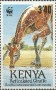 动物:非洲:肯尼亚:ke198902.jpg